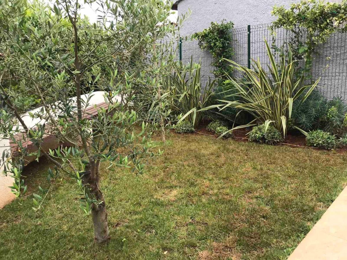 Apartmani Nena I Ilka Pula Exterior foto